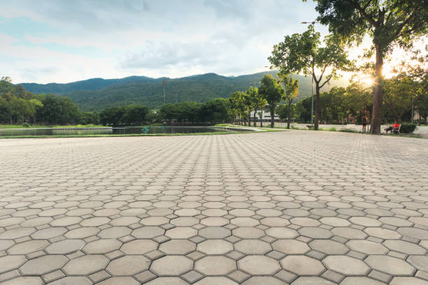 Best Custom Driveway Pavers  in Fox Point, WI